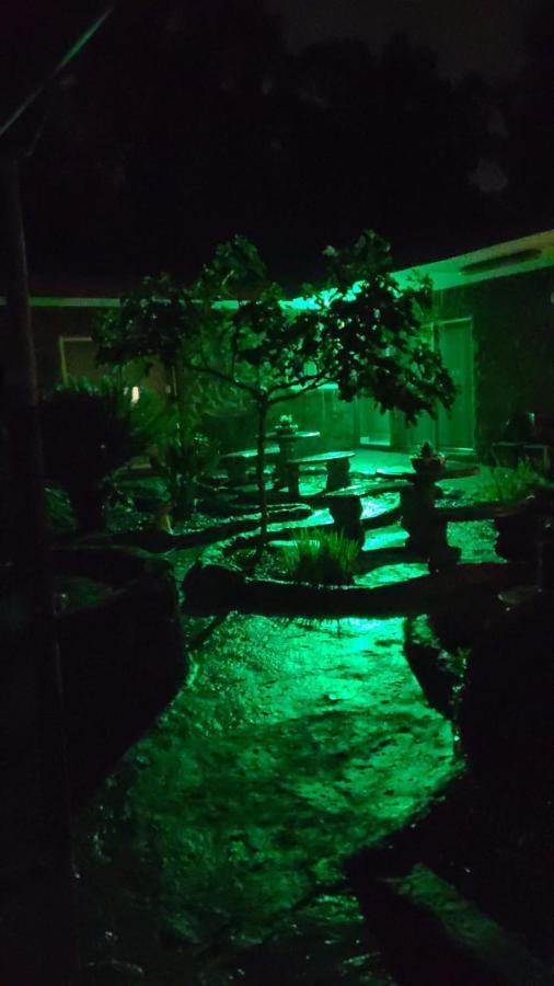 Rock Art Guesthouse Witbank Bagian luar foto